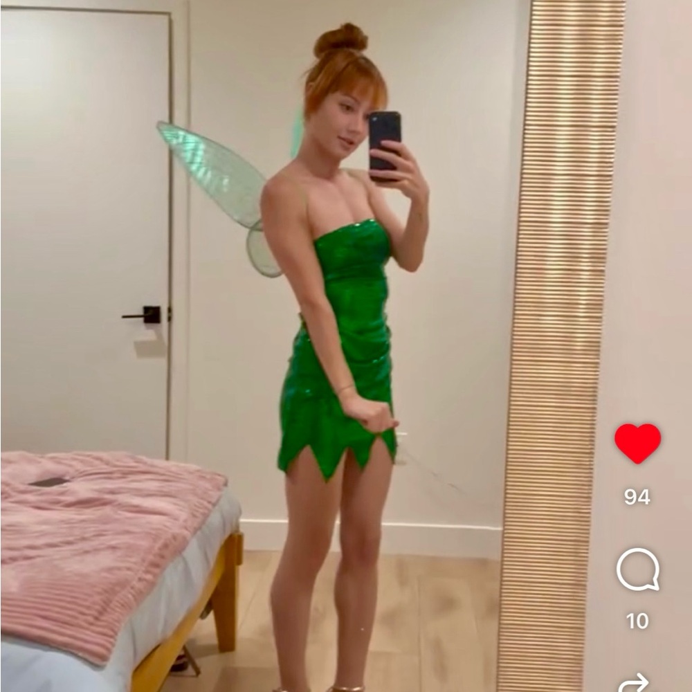 Green Fairy Costume with Wings